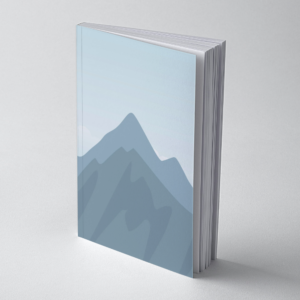 "Chłodny Obserwator"